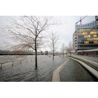 8766_0927 Promenade an der Hafencity unter Wasser - Bäume im Wasser. | 